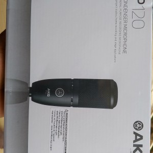 P120 AKG Mic